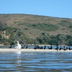 20130613-083237.jpg