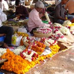 SAMSUNG DIGITAL CAMERA