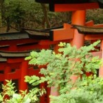 cropped-Best-of-Japan-2009010.jpg